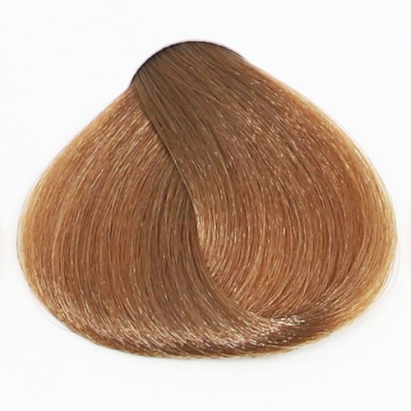 TINTE FANOLA 8.13 100ML