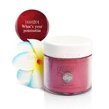 WHAT'S YOUR POINTSETTI GEL DIP XPRESS 23GR